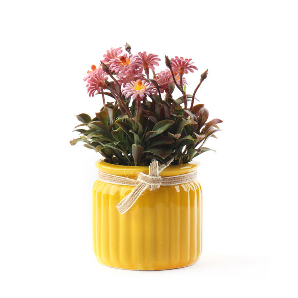 16 CM, Artificial Nordic Flowers With Modern Porcelain Pot for Home Décor, Wedding Event, Party, Office