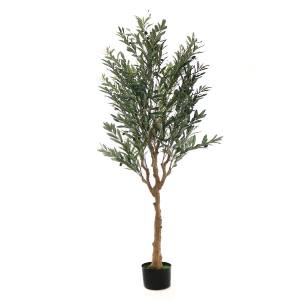 185 CM, Artificial Olive Tree with Leaves and Olives for Home Décor, Wedding Event, Party, Restaurant, Indoor, Outdoor