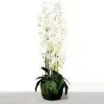 115 CM Artificial Phalaenopsis Orchid Plant With Natural Base for Home Decor Wedding Event Party Restaurant Indoor and Outdoor - Image 4