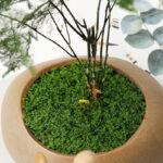 Fake Moss Plastic Artificial Moss Realistic Looking Faux Moss Garden Plants Filler Preserved Moss for Plants