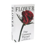 27 CM Hardcover Faux Books for Decoration Modern Stacked Display Book Fashion Decorative Book for Home Decor Bookshelf Coffee Tables and Shelves