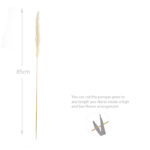 12 Stems Natural Dried Pampas Grass Flowers Dried Flowers for Vase Decoration Natural Branches for Wedding Boho Decor Beige - Image 3