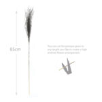 16 Stems Natural Dried Pampas Grass Flowers Dried Flowers for Vase Decoration Natural Branches for Wedding Boho Decor Black - Image 3