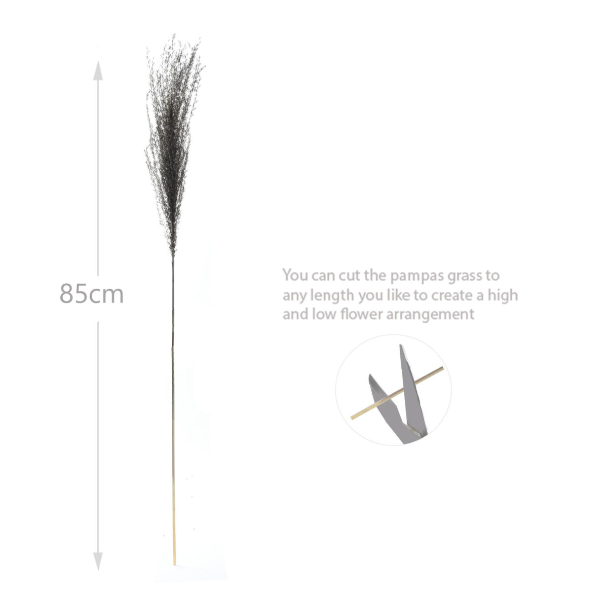 16 Stems Natural Dried Pampas Grass Flowers Dried Flowers for Vase Decoration Natural Branches for Wedding Boho Decor Black - Image 3
