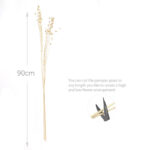 30 Stems Natural Dried Flax Flowers Bouquet Dried Flowers for Vase Decoration Natural Branches for Wedding Boho Decor Beige - Image 3