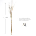 54 Stems Natural Dried Pampas Grass Flowers Dried Flowers for Vase Decoration Natural Branches for Wedding Boho Decor Beige - Image 3