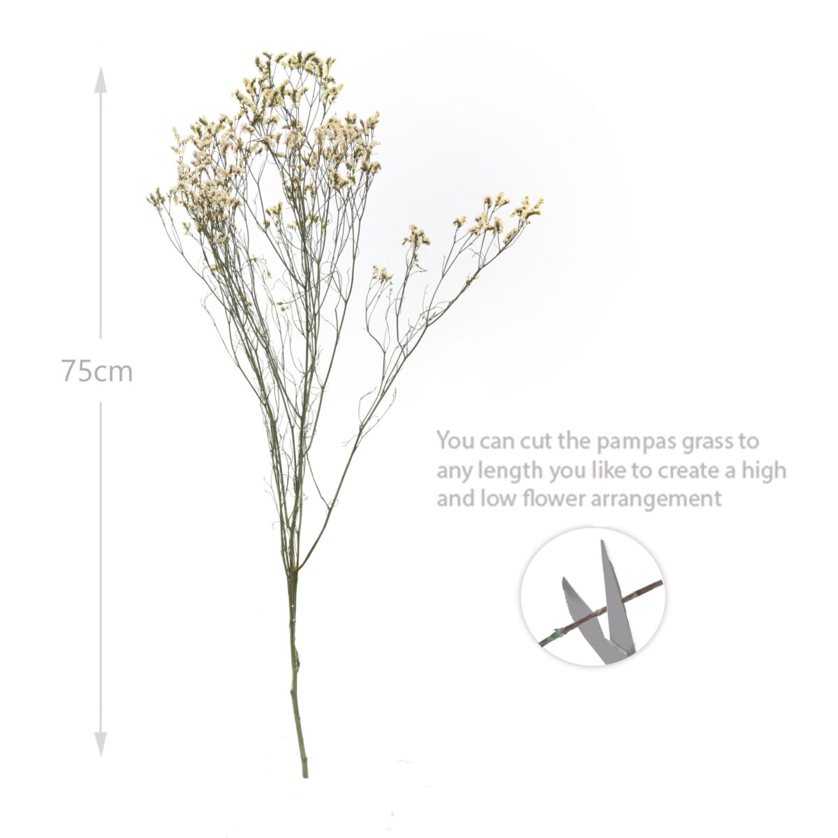 6 Stems Natural Dried Baby Breath Flowers Dried Flowers for Vase Decoration Natural Branches for Wedding Boho Decor Green - Image 3