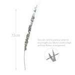 6 Stems Natural Dried Eucalyptus Flowers Dried Flowers for Vase Decoration Natural Branches for Wedding Boho Decor Green - Image 3