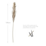 9 Stems Natural Dried Pampas Grass Flowers Dried Flowers for Vase Decoration Natural Branches for Wedding Boho Decor Beige - Image 3