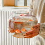 3 L Glass Fish Tank Round Planter Terrarium Decorative Glass Bowl Flower Vase Tealight Candles Centerpiece Bowls Glass Fish Aquarium 1 Piece - Image 2