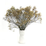 6 Stems Natural Dried Baby Breath Flowers Dried Flowers for Vase Decoration Natural Branches for Wedding Boho Decor Green - Image 4