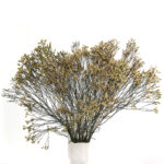 6 Stems Natural Dried Baby Breath Flowers Dried Flowers for Vase Decoration Natural Branches for Wedding Boho Decor Green