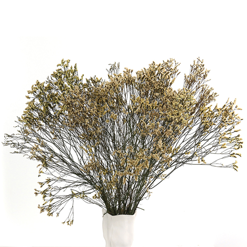 Natural Dried Baby Breath Flowers Decorative Dry Flower for Table Vase Decoration Natural Branches for Bouquets Wreaths Wedding and Home Decor (5) 6 Stems Natural Dried Baby Breath Flowers Dried Flowers for Vase Decoration Natural Branches for Wedding Boho Decor Green - Image 1