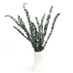 6 Stems Natural Dried Eucalyptus Flowers Dried Flowers for Vase Decoration Natural Branches for Wedding Boho Decor Green - Image 5