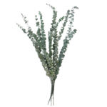 6 Stems Natural Dried Eucalyptus Flowers Dried Flowers for Vase Decoration Natural Branches for Wedding Boho Decor Green - Image 4