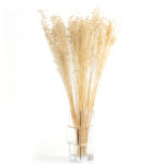 30 Stems Natural Dried Flax Flowers Bouquet Dried Flowers for Vase Decoration Natural Branches for Wedding Boho Decor Beige - Image 5