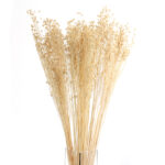 30 Stems Natural Dried Flax Flowers Bouquet Dried Flowers for Vase Decoration Natural Branches for Wedding Boho Decor Beige