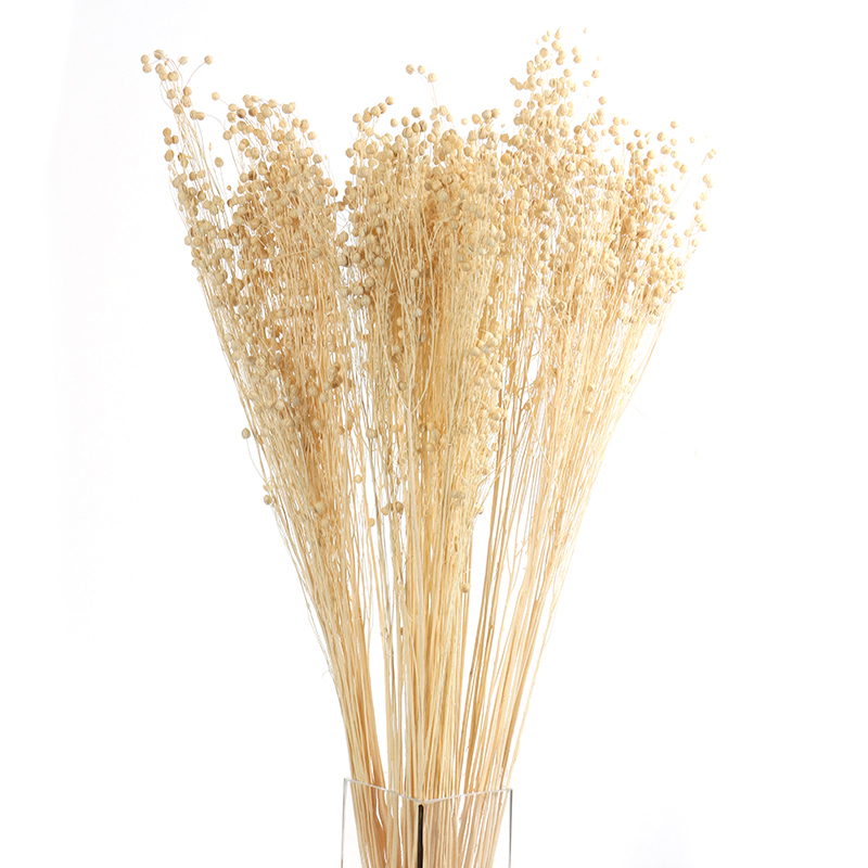 Natural Dried Flax Flowers Bouquet Decorative Dry Flower for Table Vase Decoration Natural Branches for Bouquets Wreaths Wedding and Home Decor (57) 30 Stems Natural Dried Flax Flowers Bouquet Dried Flowers for Vase Decoration Natural Branches for Wedding Boho Decor Beige - Image 1
