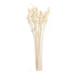 30 Stems Natural Dried Flax Flowers Bouquet Dried Flowers for Vase Decoration Natural Branches for Wedding Boho Decor Beige - Image 4