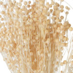 30 Stems Natural Dried Flax Flowers Bouquet Dried Flowers for Vase Decoration Natural Branches for Wedding Boho Decor Beige - Image 2