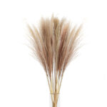 54 Stems Natural Dried Pampas Grass Flowers Dried Flowers for Vase Decoration Natural Branches for Wedding Boho Decor Beige