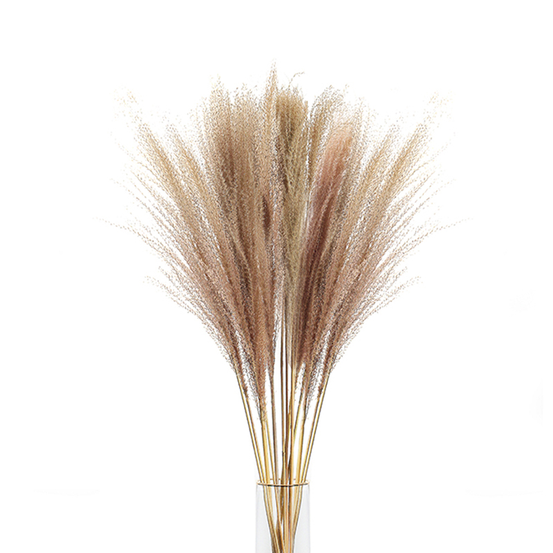 Natural Dried Pampas Grass Flowers Decorative Dry Flower for Table Vase Decoration Natural Branches for Bouquets Wreaths Wedding and Home Decor (13).JPG 54 Stems Natural Dried Pampas Grass Flowers Dried Flowers for Vase Decoration Natural Branches for Wedding Boho Decor Beige - Image 1