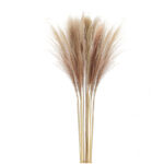 54 Stems Natural Dried Pampas Grass Flowers Dried Flowers for Vase Decoration Natural Branches for Wedding Boho Decor Beige - Image 4