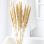 12 Stems Natural Dried Pampas Grass Flowers Dried Flowers for Vase Decoration Natural Branches for Wedding Boho Decor Beige - Image 2