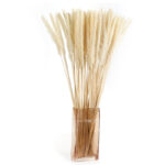 12 Stems Natural Dried Pampas Grass Flowers Dried Flowers for Vase Decoration Natural Branches for Wedding Boho Decor Beige - Image 5