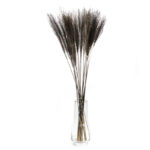 16 Stems Natural Dried Pampas Grass Flowers Dried Flowers for Vase Decoration Natural Branches for Wedding Boho Decor Black - Image 5