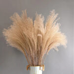 9 Stems Natural Dried Pampas Grass Flowers Dried Flowers for Vase Decoration Natural Branches for Wedding Boho Decor Beige
