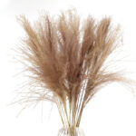 9 Stems Natural Dried Pampas Grass Flowers Dried Flowers for Vase Decoration Natural Branches for Wedding Boho Decor Beige - Image 2