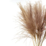 9 Stems Natural Dried Pampas Grass Flowers Dried Flowers for Vase Decoration Natural Branches for Wedding Boho Decor Beige - Image 4