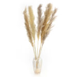 1 Stem Natural Dried Pampas Grass Flowers Dried Flowers for Vase Decoration Natural Branches for Wedding Boho Decor Beige - Image 4