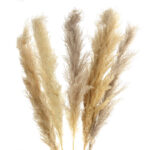 1 Stem Natural Dried Pampas Grass Flowers Dried Flowers for Vase Decoration Natural Branches for Wedding Boho Decor Beige - Image 2