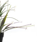 23 CM X 28 CM Mini Potted Artificial Plant Eco-Friendly Pot with Natural Look for Indoor and Outdoor Décor Black 1 Piece - Image 2