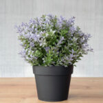 15 CM X 20 CM Mini Potted Artificial Plant Eco-Friendly Pot with Natural Look for Indoor and Outdoor Décor Black 1 Piece - Image 2