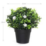 20 CM X 20 CM  Mini Potted Artificial Plant Eco-Friendly Pot with Natural Look for Indoor and Outdoor Décor Black 1 Piece - Image 3