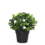 20 CM X 20 CM  Mini Potted Artificial Plant Eco-Friendly Pot with Natural Look for Indoor and Outdoor Décor Black 1 Piece