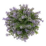 15 CM X 20 CM Mini Potted Artificial Plant Eco-Friendly Pot with Natural Look for Indoor and Outdoor Décor Black 1 Piece - Image 4